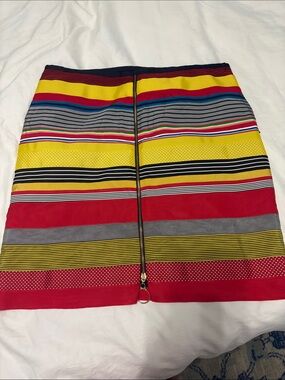 Multicolor Striped Mini Skirt with Center Zip